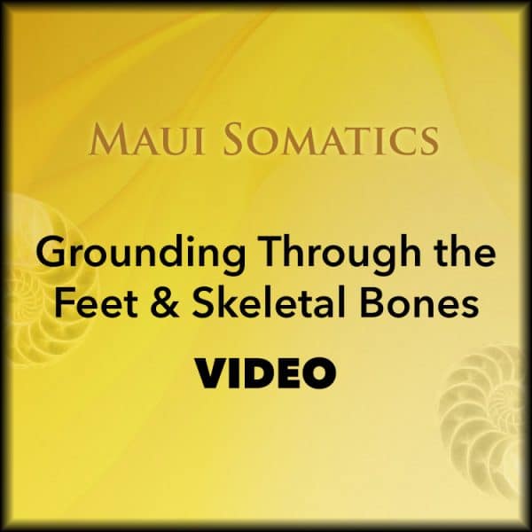 Grounding Through The Feet & Skeletal Bones 4/8/20 - Video - Image 2